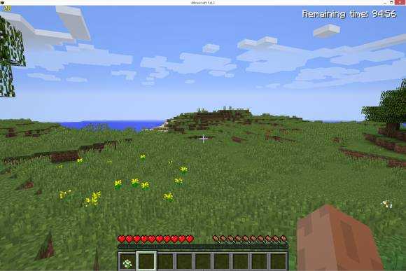 minecraft2